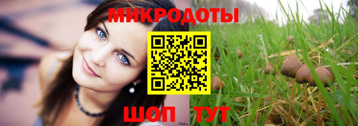 Галлюциногенные грибы мицелий  Псилоцибиновые грибы Psilocybine cubensis  Вход с VPN  Кинель 